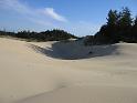 Oregon Dunes (11)